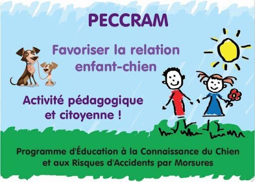 Programme d’Éducation à la Connaissance du Chien et au Risque d’Accident par Morsure Caniviola Muret